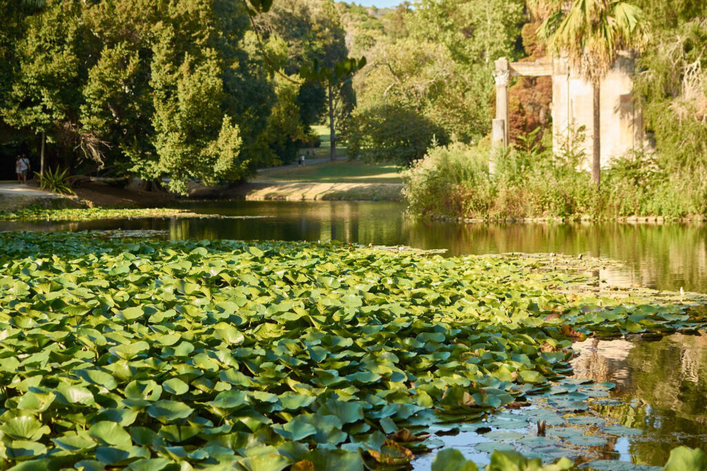 Giardino inglese della Reggia di caserta