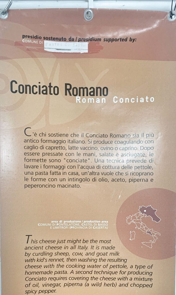 il conciato romano