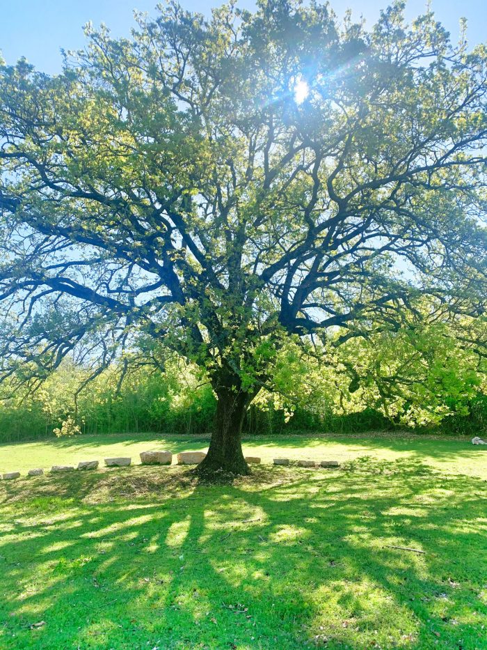 le campestre